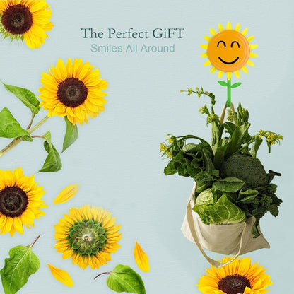 🌻 Sunflower Wall Hooks