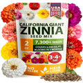 Zinnia Seeds - Pure Seeds - No Filler - USA Heirloom Flower Seeds